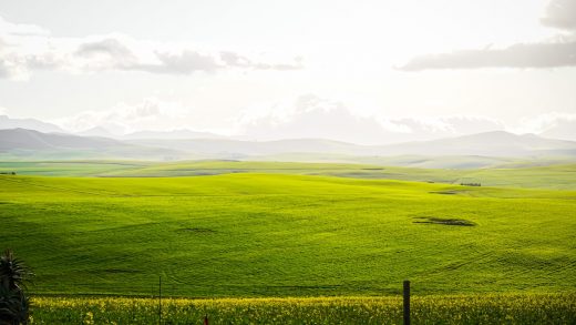 寻找狼山钢丝绳厂的确切位置：一站式指南助你轻松抵达-狼山钢丝绳厂在哪