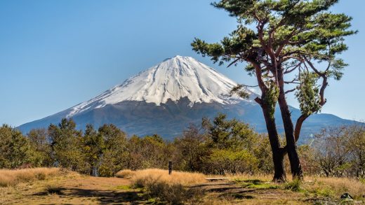 河南旅游攻略：揭秘必游景点及精心规划的路线图，让您畅享美食与美景