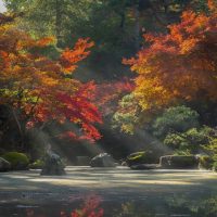 【探索嵩山之旅】深度解读少林爬山路线，带你领略千年古刹的神秘与魅力