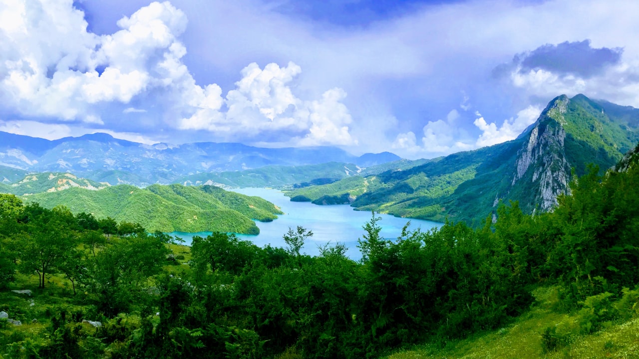 探寻上海的繁华魅力：20大旅游胜地推荐插图